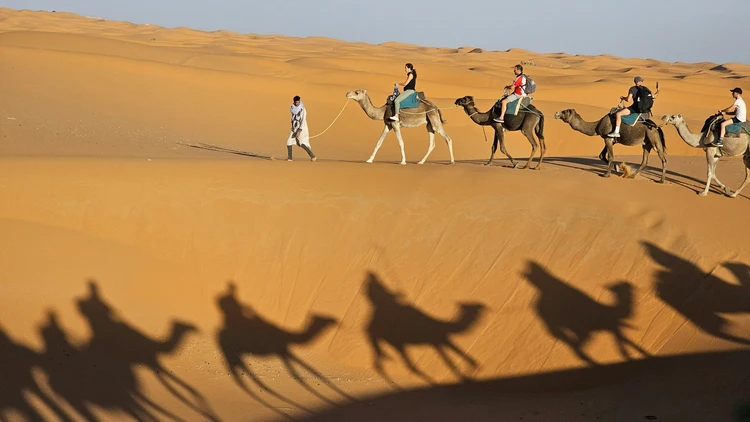 Caravan in the Desert