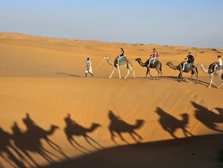 Caravan in the Desert