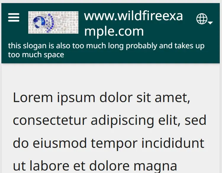 domain name website name
